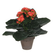 Plante Artificielle - Kalanchoe Orange - MICA